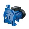 Centrifugal pumps（Hcm）