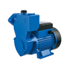 Self-priming peripheral pumps�（HKS�）