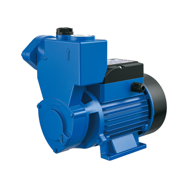 Self-priming peripheral pumps�（HKS�）